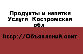 Продукты и напитки Услуги. Костромская обл.